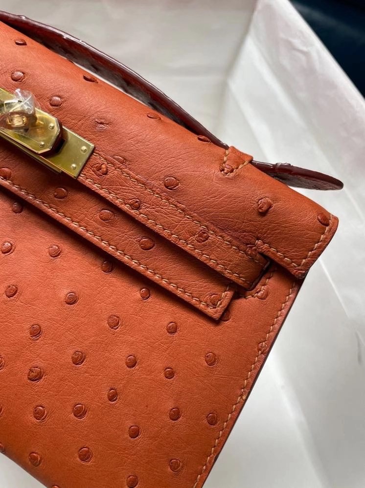 Hermes Mini Kelly Pochette 22cm Bag In Orange Ostrich Leather